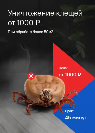 Уничтожение клещей