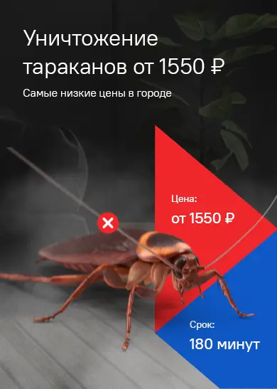 Уничтожение тараканов